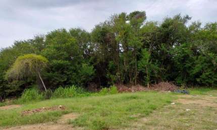 Terreno, 2050 m² - venda por R$ 1.700.000,00 ou aluguel por R$ 17.152,17/mês - Novo Cavaleiro - Macaé/RJ