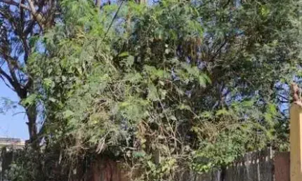 Terreno à venda, 452 m² por R$ 120.000,00 - Extensão Serramar - Rio das Ostras/RJ