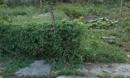 Terreno à venda, 550 m² por R$ 180.000,00 - Cidade Beira Mar - Rio das Ostras/RJ