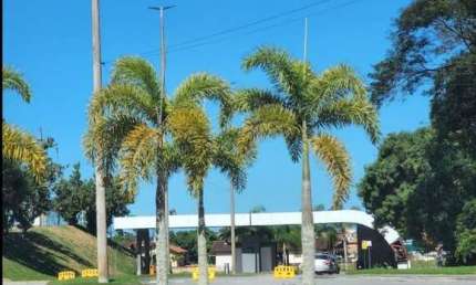 Terreno à venda, 560 m² por R$ 249.999,00 - Viverde 3 - Rio das Ostras/RJ