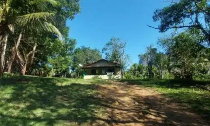 Sítio à venda, 50000 m² por R$ 1.200.000,00 - Serra da Cruz - Macaé/RJ