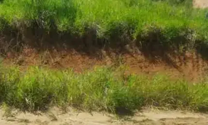 Terreno à venda, 450 m² por r$ 95.000,00 - mar do norte - rio das ostras/rj