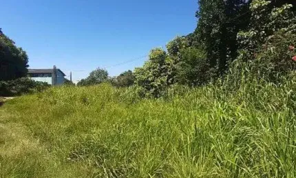 Terreno à venda, 3350 m² por r$ 1.700.000,00 - novo cavaleiro - macaé/rj.