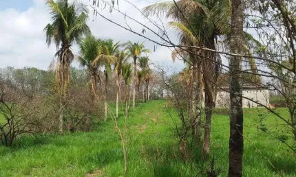 Terreno à venda, 4940 m² por R$ 800.000,00 - Imburo - Macaé/RJ