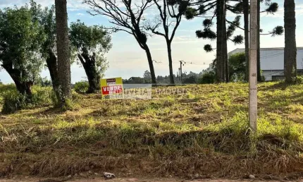 Área com 51.000 m², à venda por r$ 15.000.000 - aruja, são josé dos pinhais (pr) - zis-1