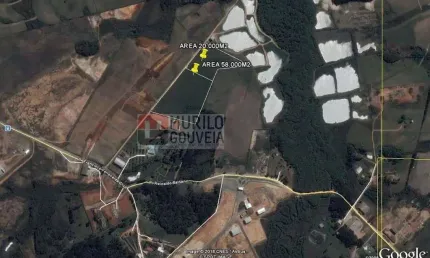 Área com 20.000 m², à venda por R$ 5.000.000 - Eucaliptos, Fazenda Rio Grande (PR)
