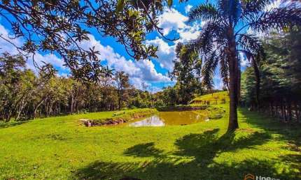 Chácara / sítio com 3 quartos à venda na Estrada Colônia Cristina, 1, Colônia Mariana, Campo Largo