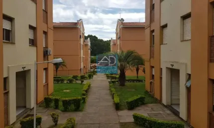 Apartamento para venda  no bairro passo das pedras em gravataí