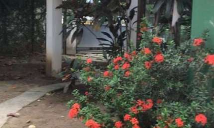 Terreno para Venda em Salvador, CAMINHO DAS ÁRVORES , 1 dormitório, 1 banheiro, 6 vagas