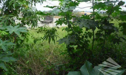 Terreno residencial à venda, Quinta das Frutas, Taubaté.
