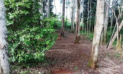 Terreno com construção à venda, 165m² - Barreiro - Taubaté/SP