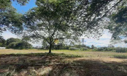 Terreno à venda na Rua Irmãos Albernaz, Vila Costa, Taubaté