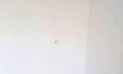 Apartamento com 2 dormitórios à venda, 60 m² - Vila Nossa Senhora das Graças - Taubaté/SP
