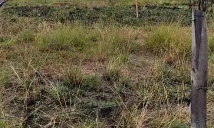 Terreno à Venda  Novo Horizonte | 450m²  iguabinha - RJ