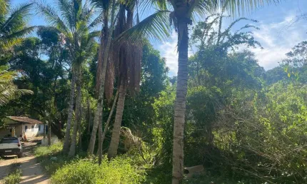 Sítio para locação ou venda em Três Vendas - Araruama/RJ