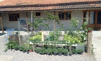 Casa com 1 quarto à venda na Rodovia Evádio Paulo Broering, 49, Passagem de Maciambú (Ens Brito), Palhoça
