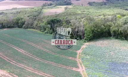 Chácara / sítio com 1 quarto à venda na Wadislau Furman, Guajuvira, Araucária por R$ 450.000