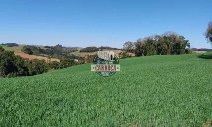 Fazenda à venda na 511, catanduvas do sul, contenda, 300 m2 por r$ 4.000.000