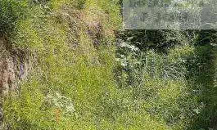 Terreno à venda no Jardim Maria Clara, Guarulhos 