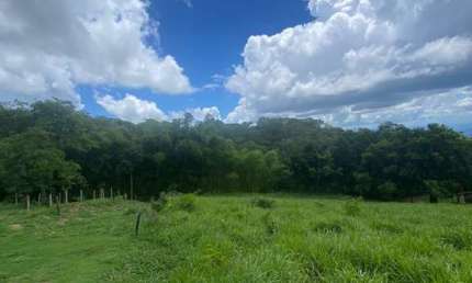 Terreno a venda no Morro dos Ventos em Chapada dos Guimarães com visual e cercado de mata