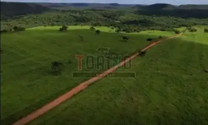 Fazenda - São João da Ponte - Estrada Rural - Região Norte