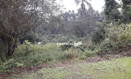Terreno à venda, 1032 m² por r$ 340.000,00 - ribeirão fresco - blumenau/sc