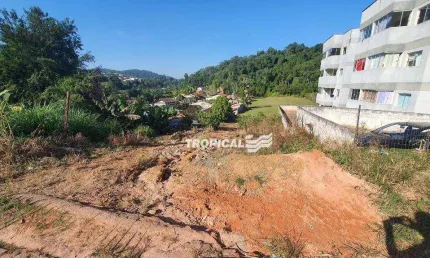 Terreno à venda, 10027 m² por R$ 2.100.000,00 - Testo Salto - Blumenau/SC