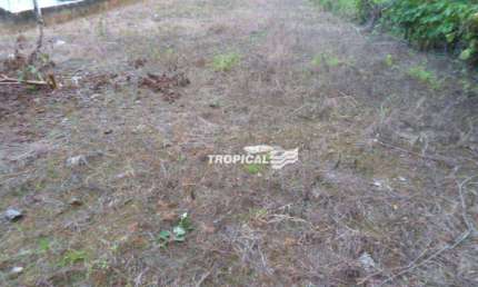 Terreno à venda, 1182 m² por R$ 950.000,00 - Tribess - Blumenau/SC