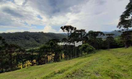 Terreno à venda, 260239 m² por R$ 1.000.000,00 - Centro - Doutor Pedrinho/SC