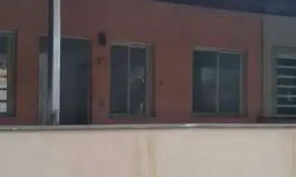 Apartamento com 3 quarto(s) e 1 banheiro(s) para alugar, 70 m² por r$ 850 / mês