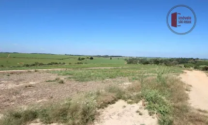 Fazenda Porto Feliz  com 40 alqueires otima topografia, todo em lavrouro a 10 Km da Castelo Branco e 03 km do asfalto com casa de Empregado, nascente,