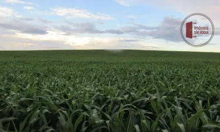 Faz 116 - fazenda com 3.035 hect na região de chapadão do céu – go | pasto e agricultura
