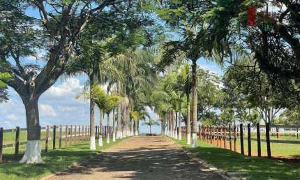 Haras em Tatui e Região com 52 alqs Formado e plano