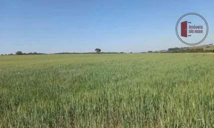 Vende-se fazenda de 38 alqueires altamente produtiva - Avaré