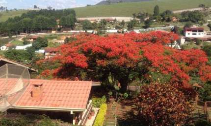 Chácara / sítio com 3 quartos à venda no Condomínio Vila Verde, Araçariguama 