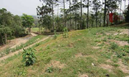 Chácara / sítio à venda na Zona Rural, Piedade 