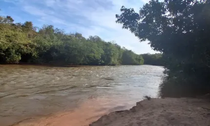 Chácara / sítio com 3 quartos à venda na Ms 080, Zona Rural, Rochedo