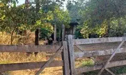 Chácara / sítio com 2 quartos à venda na Rodovia DF-260, Paranoá, Brasília