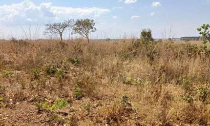 Chácara 6 Hectares Escriturada e Registrada no PADEF !!! 650.000 !!!