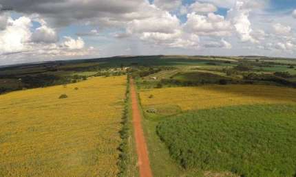 Fazenda Espetacular na Região Mais Produtiva de Grãos de Brasília 8.000.000