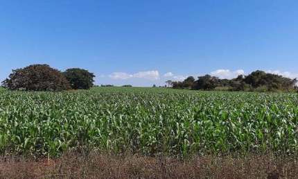 Chácara / sítio à venda na Área Rural, Área Rural do Paranoá, Brasília