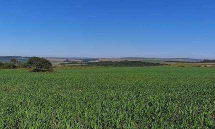 Chácara / sítio com 3 quartos à venda na Área Rural, Área Rural do Paranoá, Brasília