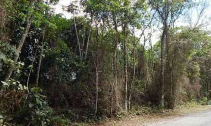 Área com 1.701 m² - Fazenda Capelinha - Mogi das Cruzes - SP