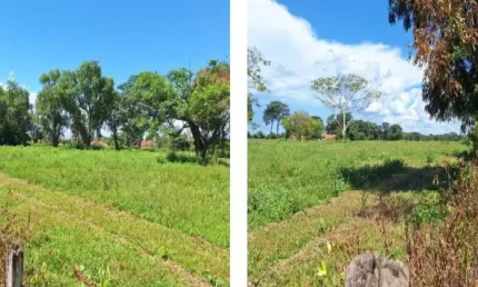 Fazenda à venda no Centro, Cardoso 