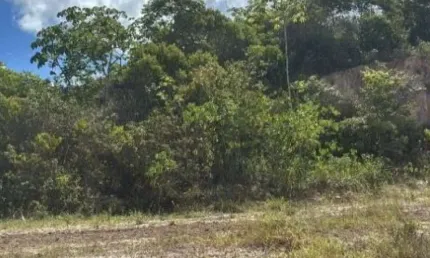 Terreno 2.465 m² - Candeias-BA - Rua Fazenda Mamão, s/n - Distrito Industrial