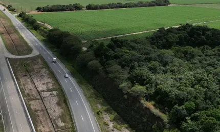 Fazenda à venda no Centro, Capim 