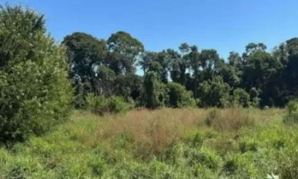 Terreno 3.500 m² - aparecida de goiânia-go - rua 1-a - chácara 02 da qd 47 - solar das candeias