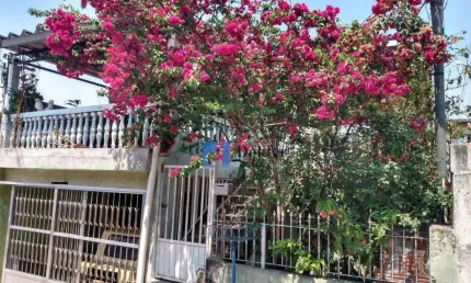 Casa com 6 dormitórios à venda, 300 m² por R$ 562.000,00 - Cachoeirinha - São Paulo/SP