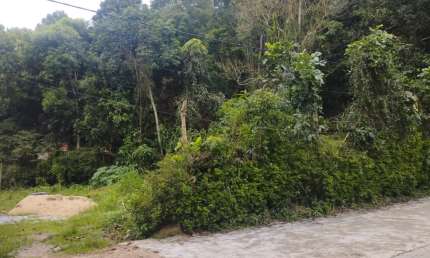 Terreno totalmente plano fora de condomínio em Teresópolis!