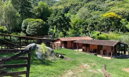 Seu Mini Haras na Serra – Um Refúgio de Paz e Liberdade!